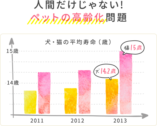 人間だけじゃない！ペットの高齢化問題