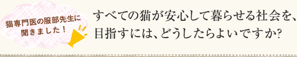 猫専門医の服部先生に聞きました！「すべての猫が安心して暮らせる社会を、目指すには、どうしたらよいですか？」