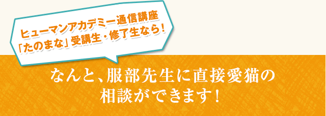 ヒューマンアカデミー通信講座「たのまな」受講生・修了生なら！なんと、服部先生に直接愛猫の相談ができます！