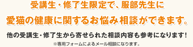 受講生・修了生限定で、服部先生にメール、または専用の健康相談シートで、愛猫の健康に関するお悩み相談ができます。※専用の健康相談シート、もしくは専用フォームによるメール相談になります。