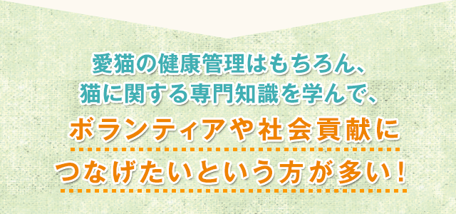 愛猫の健康管理はもちろん、猫に関する専門知識を学んで、ボランティアや社会貢献につなげたいという方が多い！