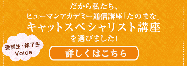 受講生・修了生の声「だから私たち、ヒューマンアカデミー通信講座たのまなキャットスペシャリスト講座を選びました！