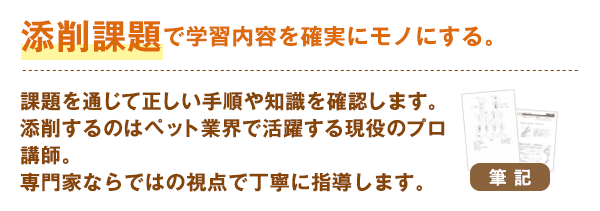 添削課題で学習内容を確実にモノにする。