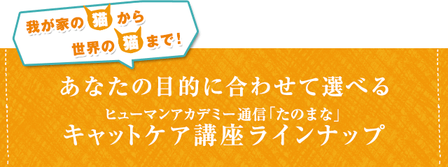 我が家の猫から世界の猫まで！あなたの目的に合わせて選べるヒューマンアカデミー通信「たのまな」キャットケア講座ラインナップ